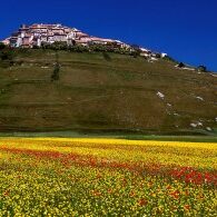 01_Castelluccio_Fioritura